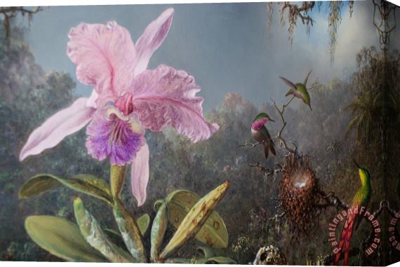 Martin Johnson Heade Cattleya Orchid And Three Hummingbirds Stretched Canvas Painting / Canvas Art