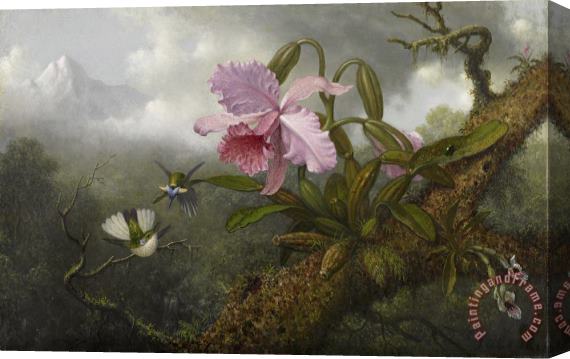 Martin Johnson Heade Cattleya Orchid, Two Hummingbirds, And a Beetle Stretched Canvas Painting / Canvas Art