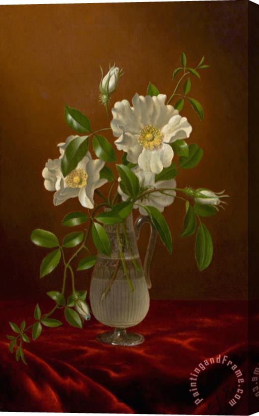 Martin Johnson Heade Cherokee Roses in a Glass Vase Stretched Canvas Painting / Canvas Art