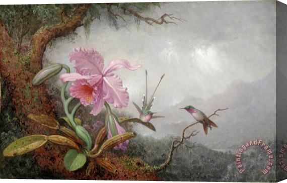 Martin Johnson Heade Hummingbirds And Orchids Stretched Canvas Painting / Canvas Art
