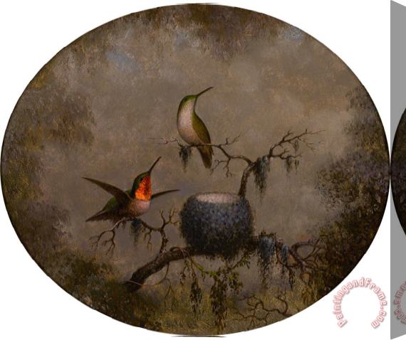 Martin Johnson Heade Hummingbirds And Their Nest Stretched Canvas Painting / Canvas Art