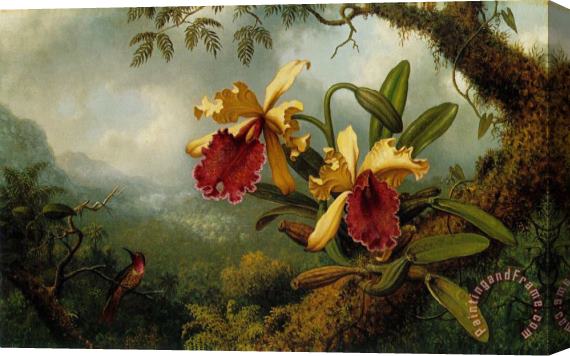 Martin Johnson Heade Orchids And Hummingbird Stretched Canvas Painting / Canvas Art