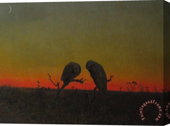 Martin Johnson Heade Two Owls at Sunset Stretched Canvas Painting / Canvas Art