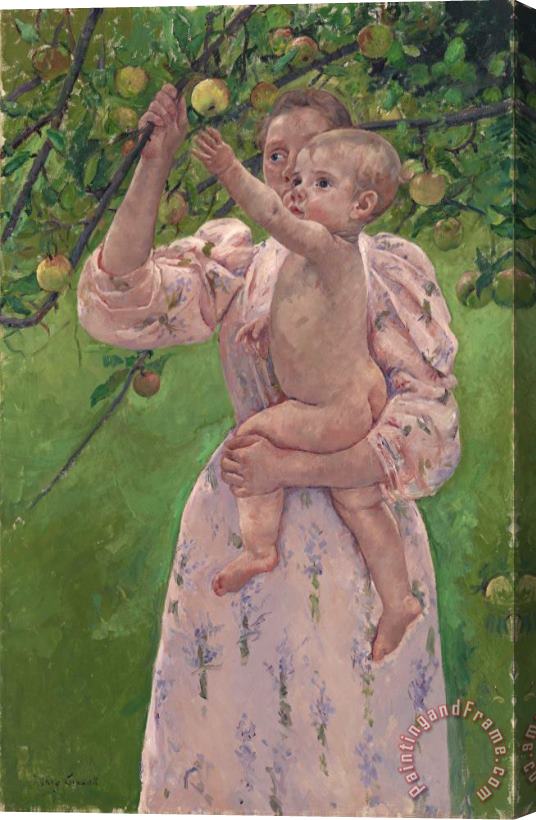 Mary Cassatt Child Picking a Fruit (enfant Cueillant Un Fruit) Stretched Canvas Painting / Canvas Art