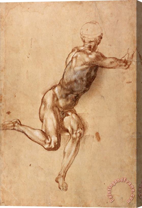 Michelangelo Buonarroti A Seated Male Nude Twisting Around C 1505 Stretched Canvas Painting / Canvas Art