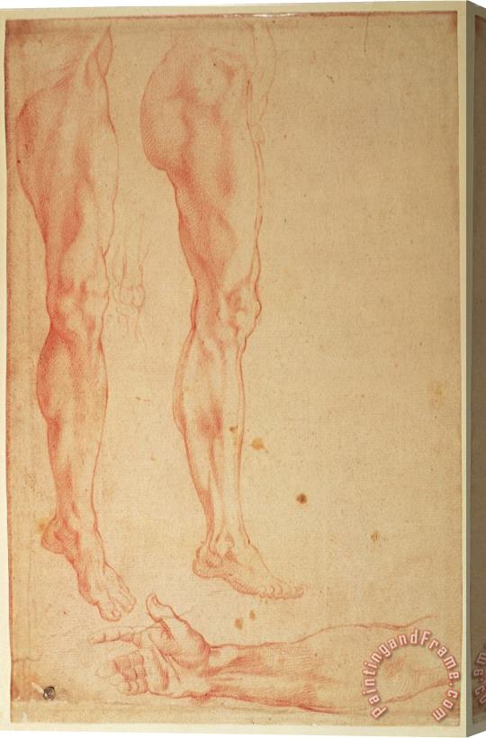 Michelangelo Buonarroti Studies of Legs And Arms Red Chalk on Paper Stretched Canvas Print / Canvas Art