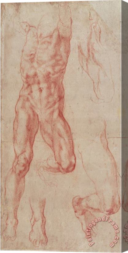 Michelangelo Buonarroti Study of a Male Nude Stretching Upwards Stretched Canvas Painting / Canvas Art