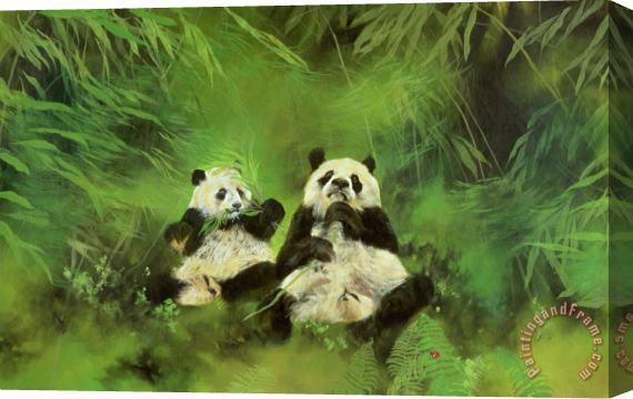 Odile Kidd Pandas Stretched Canvas Print / Canvas Art