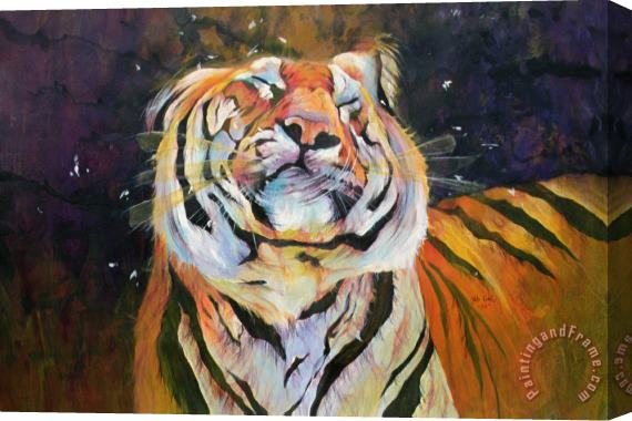 Odile Kidd Tiger - Shaking Head Stretched Canvas Print / Canvas Art