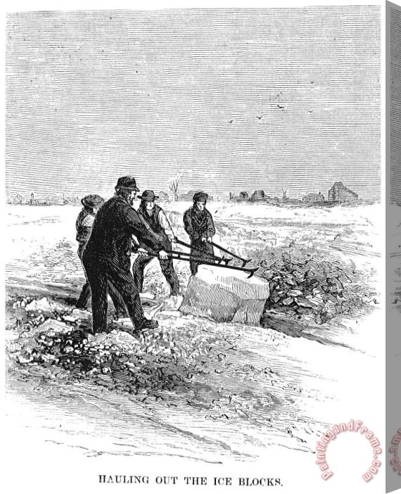 Others CUTTING ICE, c1870 Stretched Canvas Painting / Canvas Art