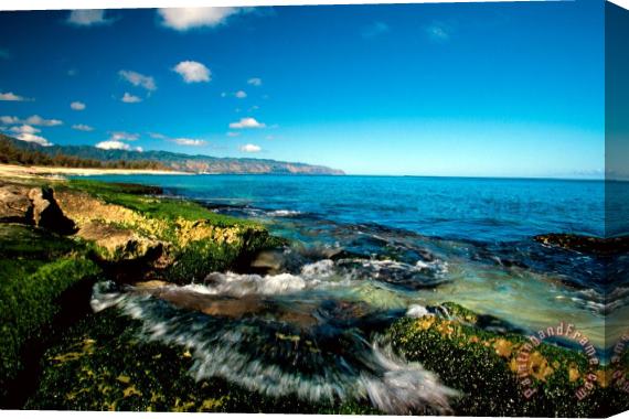 Others Exposed Reef And Tidal Surge North Shore Oahu Hawaii Stretched Canvas Painting / Canvas Art