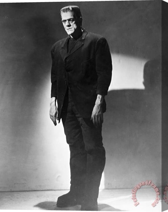 Others Frankenstein, 1931 Stretched Canvas Print / Canvas Art