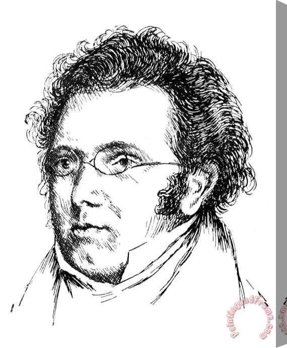 Others Franz Schubert (1797-1828) Stretched Canvas Print / Canvas Art