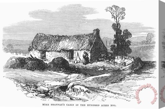 Others Ireland: Cabin, 1870 Stretched Canvas Print / Canvas Art