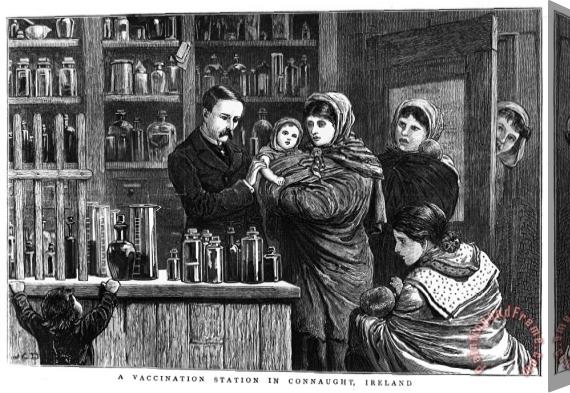 Others Ireland: Vaccination, 1880 Stretched Canvas Print / Canvas Art