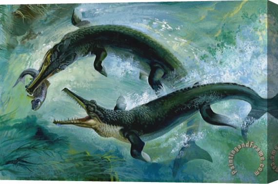 Others Pre-historic Crocodiles Eating a Fish Stretched Canvas Painting / Canvas Art
