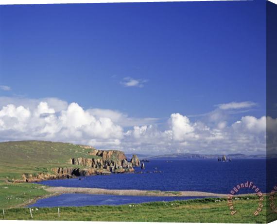 Others Scotland Shetland Islands Eshaness Cliffs Stretched Canvas Print / Canvas Art