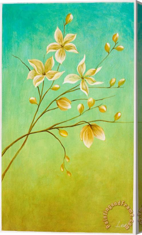 Pablo Esteban Flowers 2 Stretched Canvas Print / Canvas Art