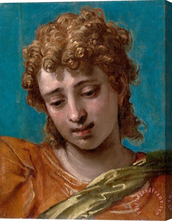 Paolo Caliari Veronese Head of Saint Michael, From The Petrobelli Altarpiece Stretched Canvas Print / Canvas Art