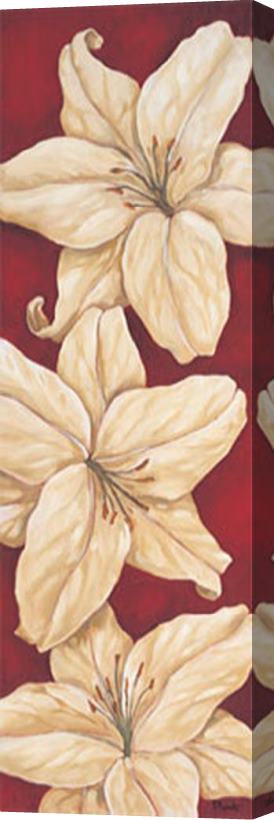 Paul Brent Bella Grande Lilies Stretched Canvas Print / Canvas Art