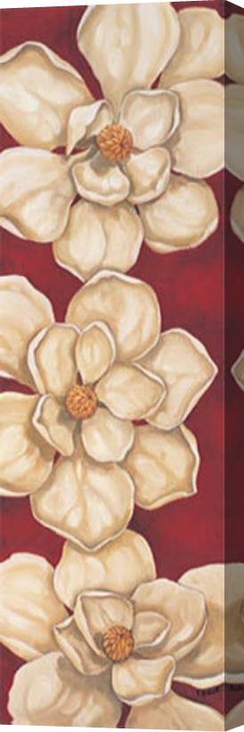 Paul Brent Bella Grande Magnolias Stretched Canvas Print / Canvas Art