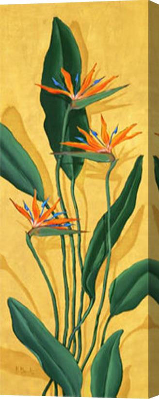 Paul Brent Bird of Paradise Stretched Canvas Painting / Canvas Art