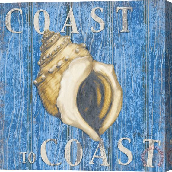 Paul Brent Coastal Usa Conch Stretched Canvas Painting / Canvas Art