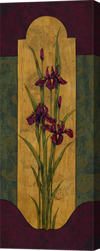 Paul Brent Greek Iris I Stretched Canvas Print / Canvas Art