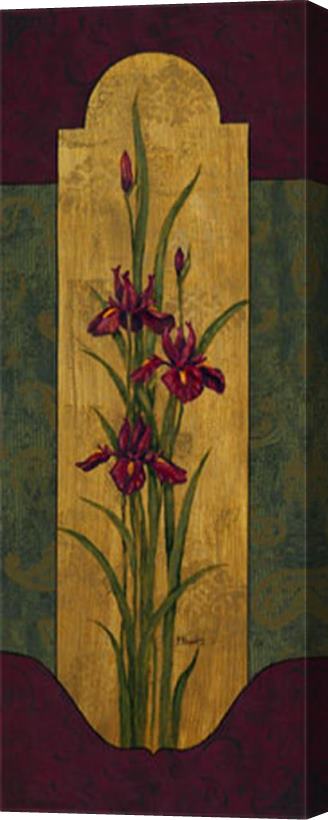 Paul Brent Greek Iris II Stretched Canvas Painting / Canvas Art