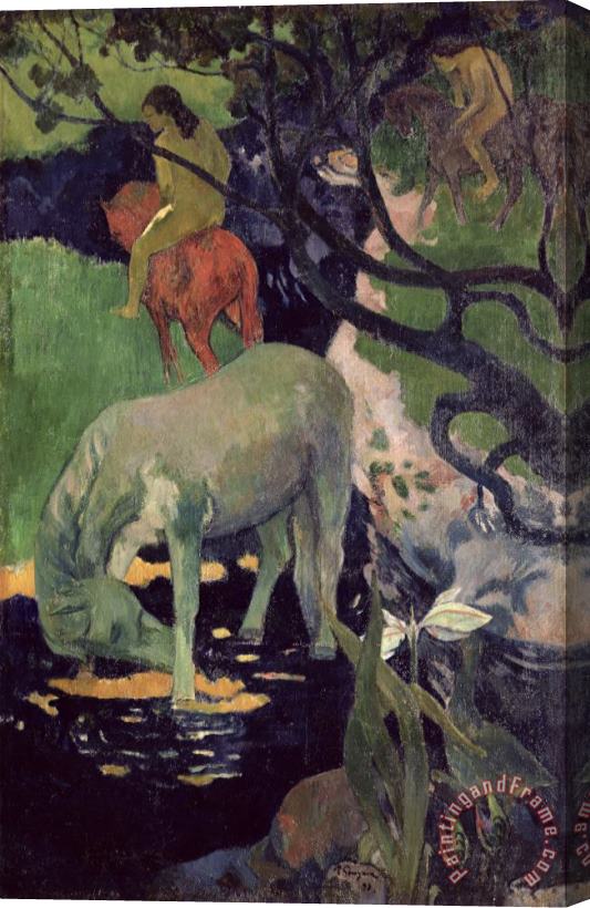 Paul Gauguin The White Horse Stretched Canvas Painting / Canvas Art