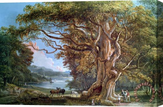 Paul Sandby An Ancient Beech Tree Stretched Canvas Painting / Canvas Art