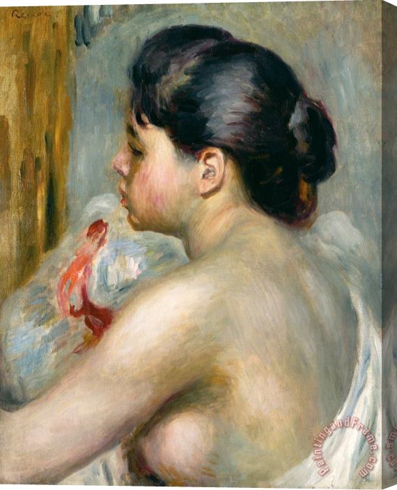 Pierre Auguste Renoir Dark Haired Woman Stretched Canvas Print / Canvas Art