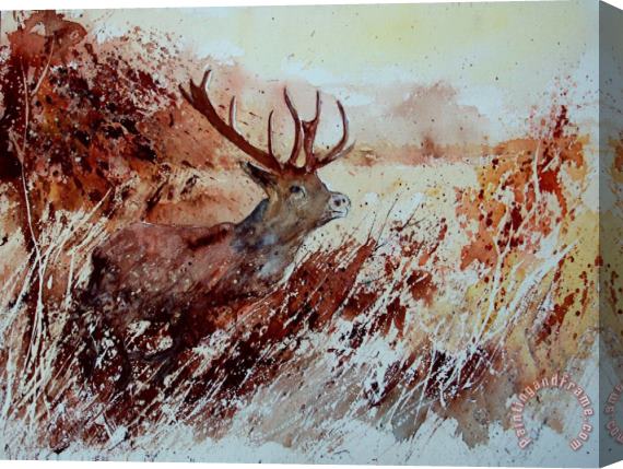 Pol Ledent A Stag Stretched Canvas Painting / Canvas Art