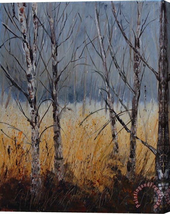 Pol Ledent Birch trees Stretched Canvas Print / Canvas Art