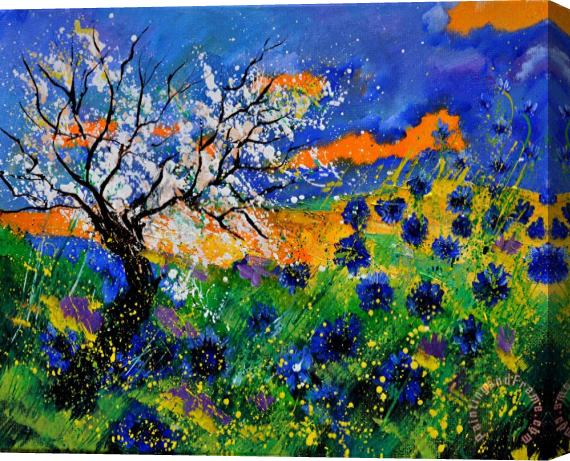 Pol Ledent Bluecornflowers 451120 Stretched Canvas Print / Canvas Art