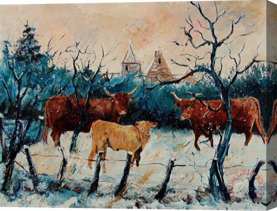 Pol Ledent Cows Stretched Canvas Print / Canvas Art