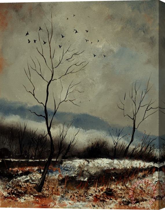 Pol Ledent First snow in Harroy Stretched Canvas Print / Canvas Art