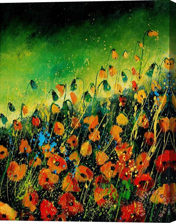Pol Ledent Orange poppies 459080 Stretched Canvas Print / Canvas Art