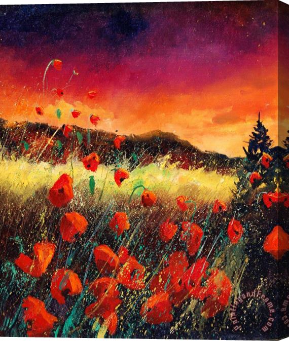 Pol Ledent Poppies at sunset 67 Stretched Canvas Print / Canvas Art