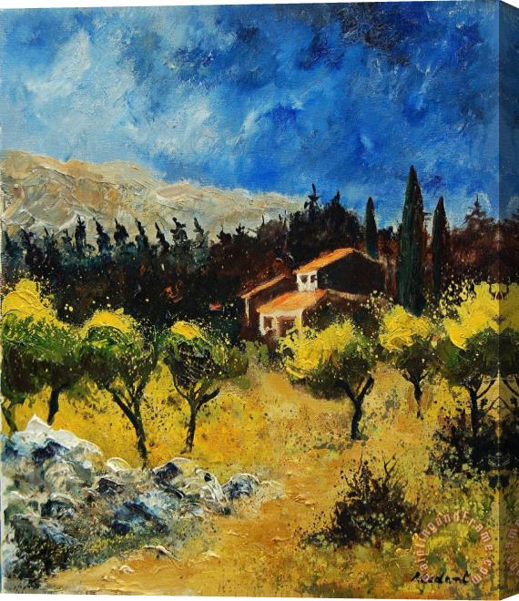 Pol Ledent Provence 678965 Stretched Canvas Print / Canvas Art