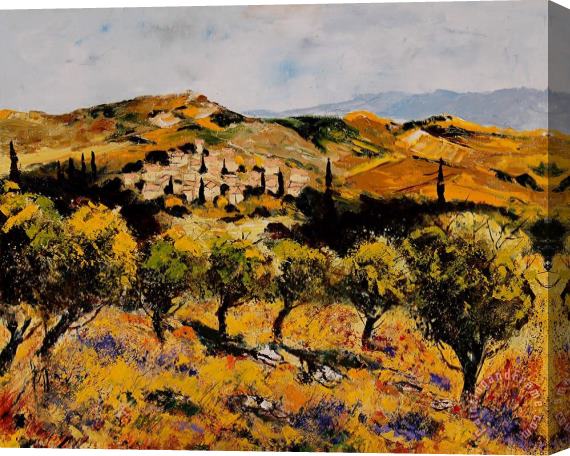 Pol Ledent Provence10080 Stretched Canvas Print / Canvas Art