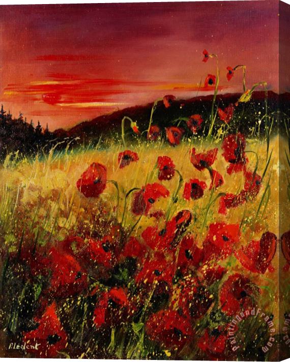 Pol Ledent Red poppies and sunset Stretched Canvas Painting / Canvas Art