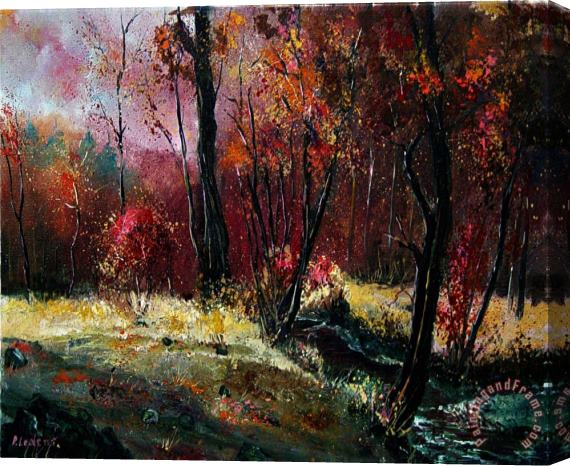 Pol Ledent River Ywoigne Stretched Canvas Print / Canvas Art