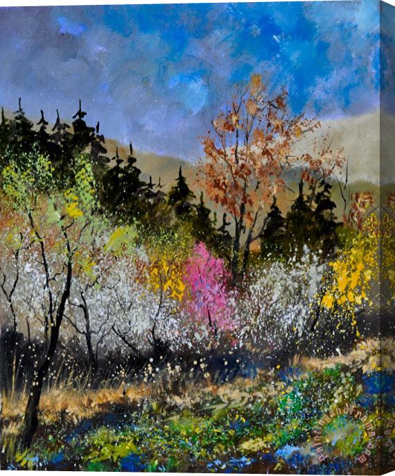 Pol Ledent Spring colors Stretched Canvas Print / Canvas Art