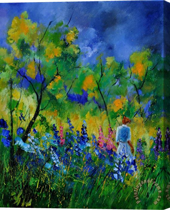 Pol Ledent Summer walk in the wood Stretched Canvas Print / Canvas Art
