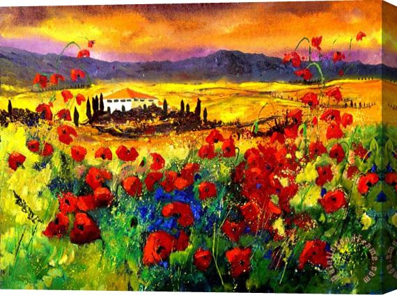 Pol Ledent Tuscany Poppies Stretched Canvas Print / Canvas Art