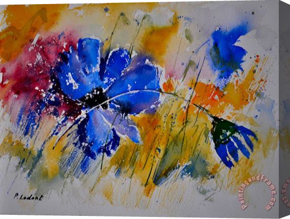 Pol Ledent Watercolor Blue Flowers Stretched Canvas Painting / Canvas Art