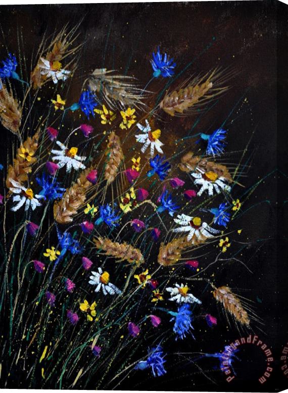 Pol Ledent Wild Flowers 452150 Stretched Canvas Print / Canvas Art