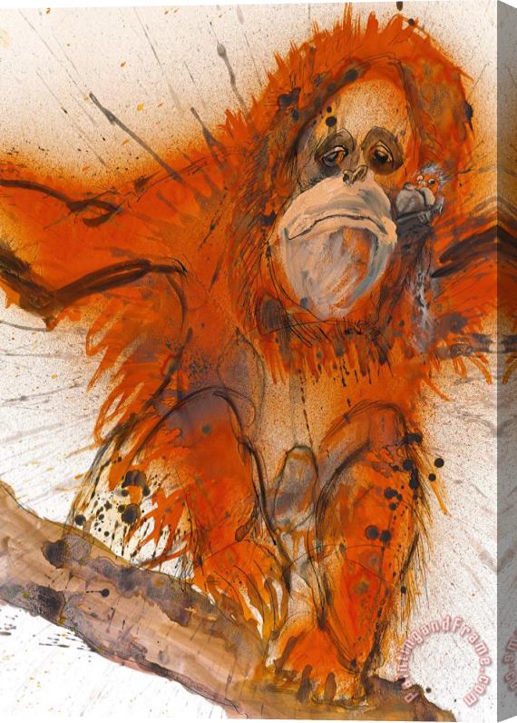 Ralph Steadman Bornean Sumatran Orangutan, 2017 Stretched Canvas Painting / Canvas Art