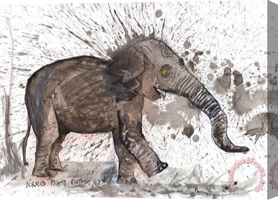 Ralph Steadman Borneo Pygmy Elephant, 2017 Stretched Canvas Painting / Canvas Art
